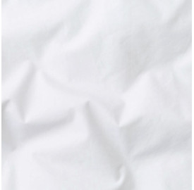 Coton lavé Petit Lait